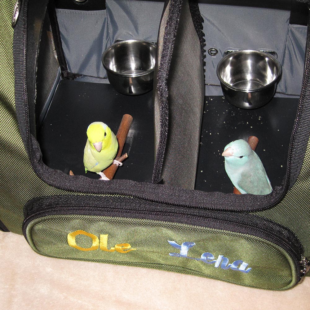 Celltei Airline Carrier for Two Parrotlets