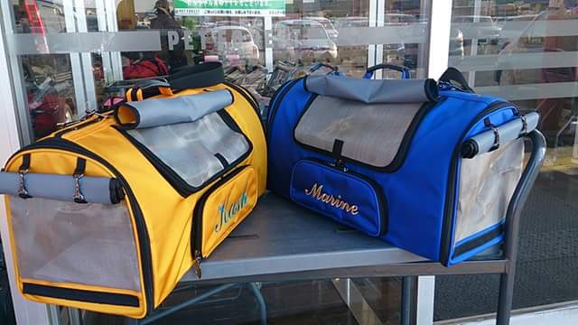 Marine, a Blue & Gold Macaw in Japan, needs a new Celltei carrier