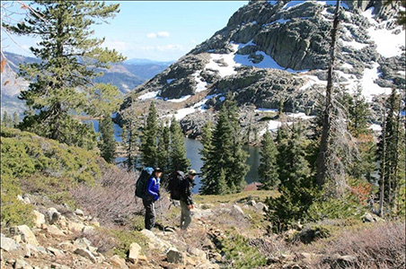 Jillian, an avid sportsman planning to bring her bird hiking Jillian, an avid sportsman planning to bring her bird hiking