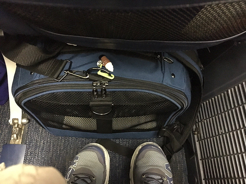 Agility Dog Sundae on the plane placed underneath the airplane seat